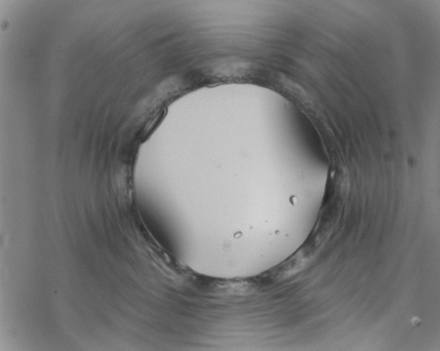 X0000068730428200605262030