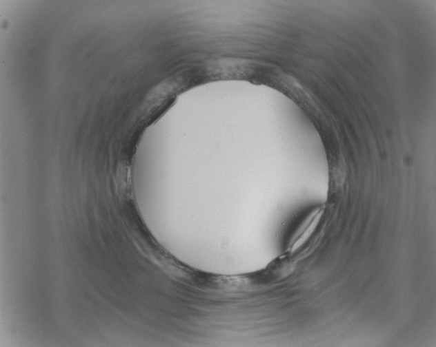 X0000068730429200605262030