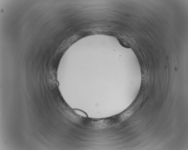 X0000068730430200605262030