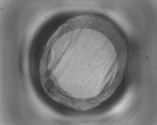 X0000068730431200605262030