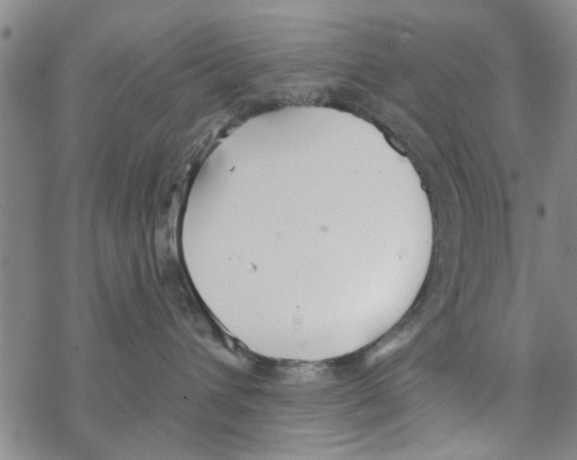 X0000068730432200605262030