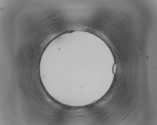 X0000068730433200605262029