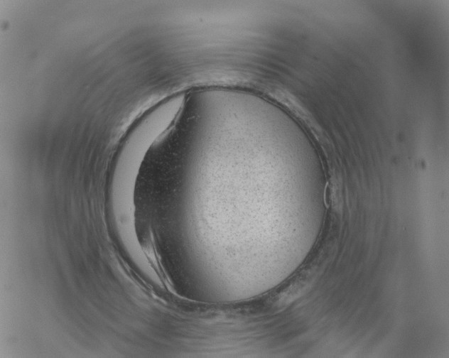 X0000068730434200605262029