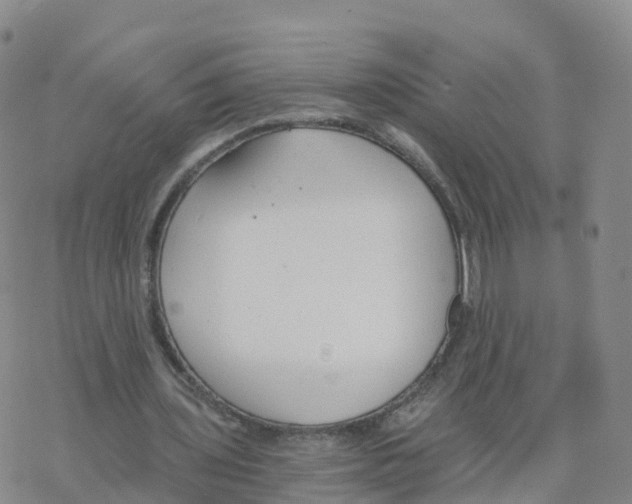 X0000068730435200605262030