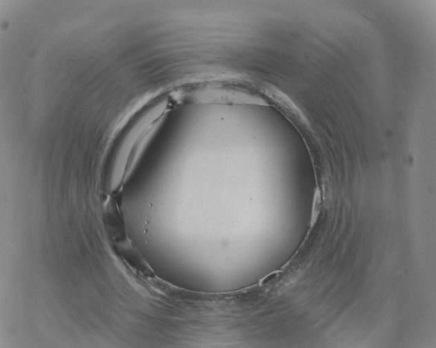 X0000068730436200605262030