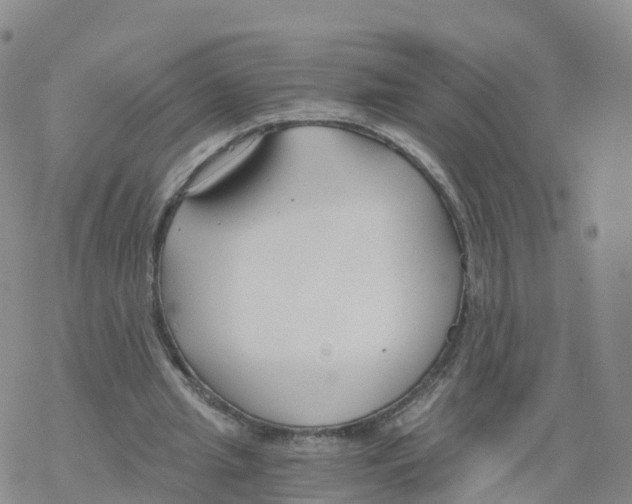 X0000068730437200605262030