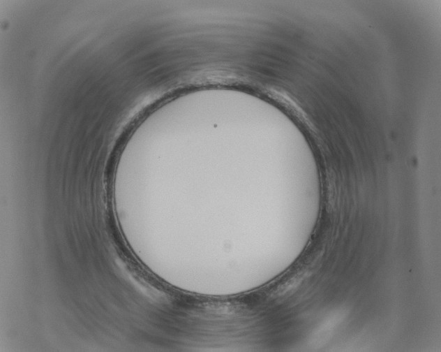 X0000068730439200605262030