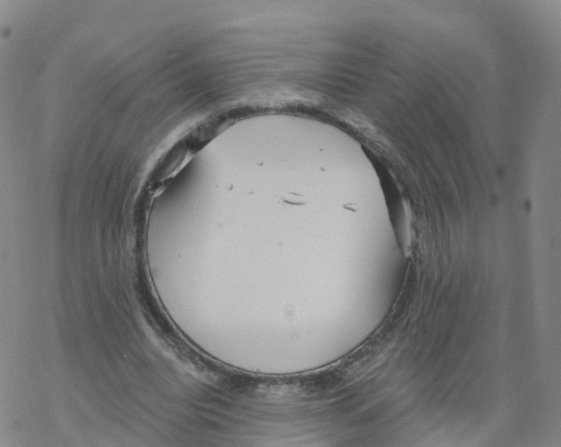 X0000068730440200605262030