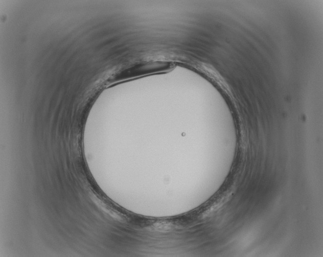 X0000068730441200605262030