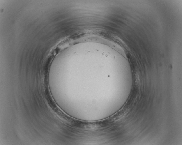 X0000068730444200605262030