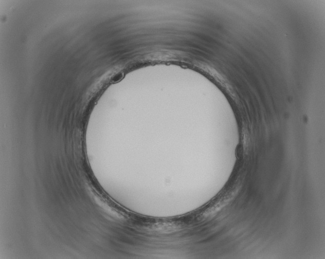 X0000068730445200605262030