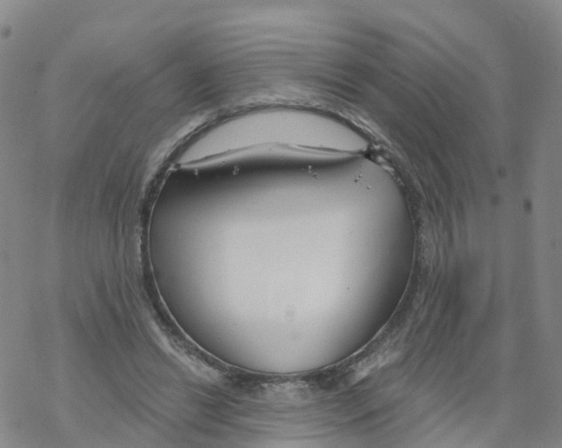 X0000068730446200605262030