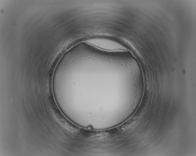 X0000068730447200605262030