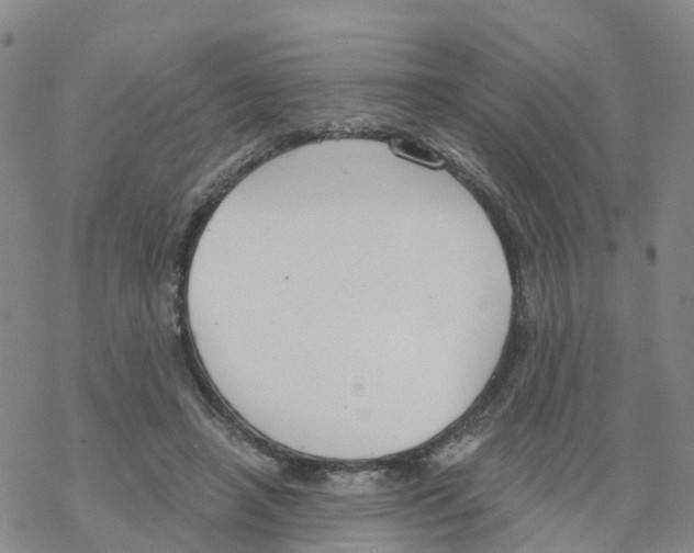 X0000068730450200605262030