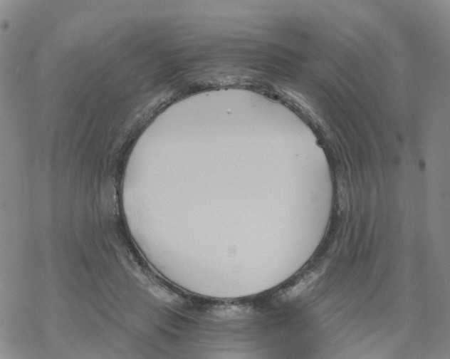 X0000068730453200605262030