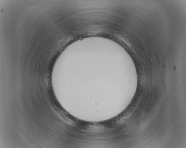 X0000068730455200605262030