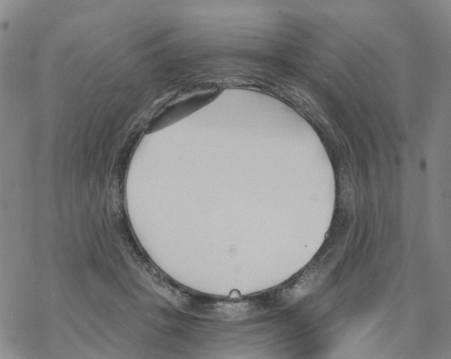 X0000068730457200605262030