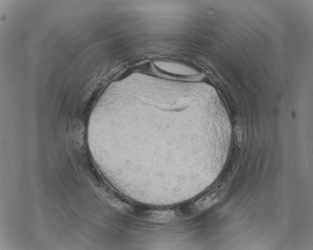 X0000068730458200605262030