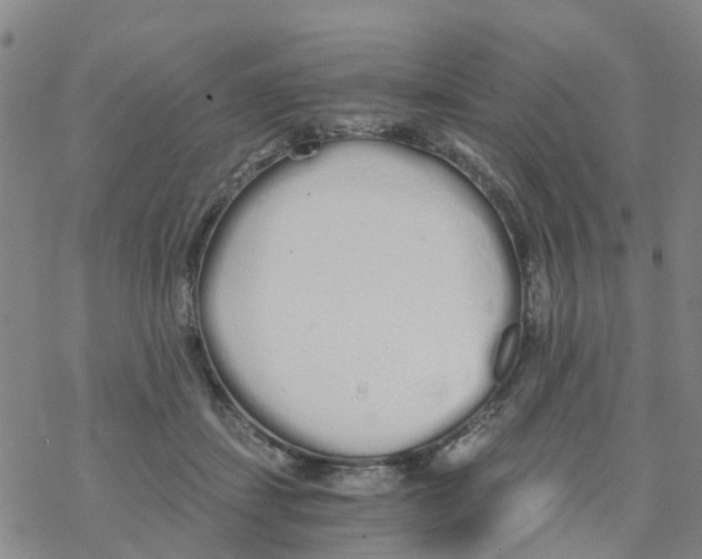 X0000068730459200605262030