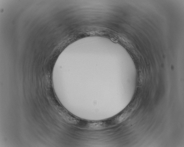 X0000068730461200605262030