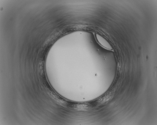 X0000068730462200605262030