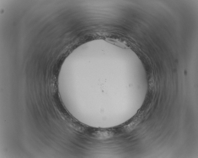 X0000068730464200605262030