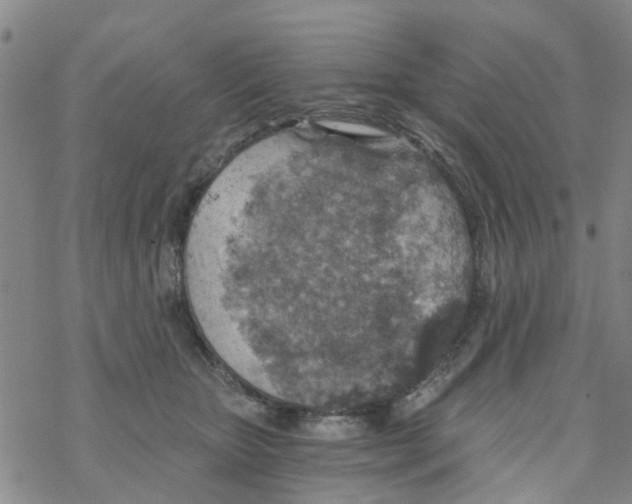 X0000068730467200605262030