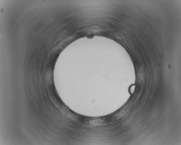 X0000068730468200605262030