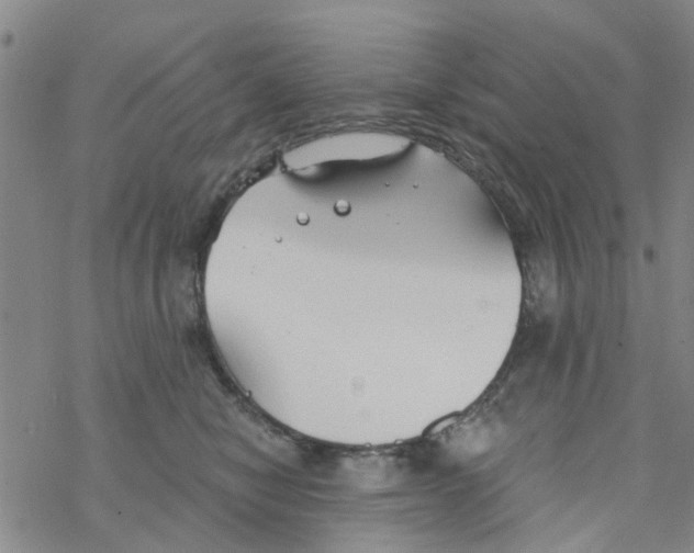 X0000068730470200605262030