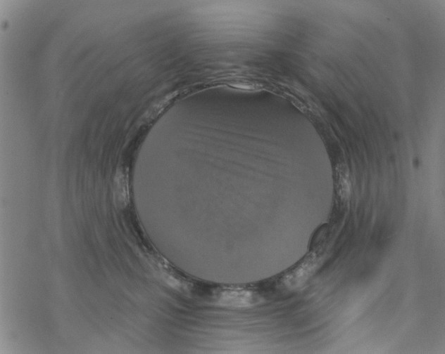 X0000068730471200605262030