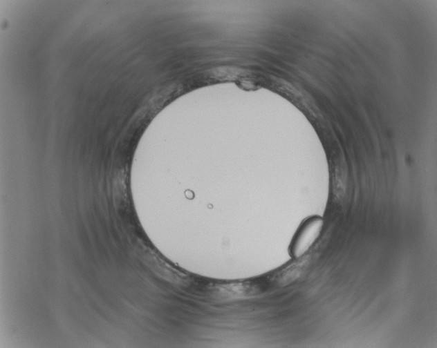 X0000068730473200605262030