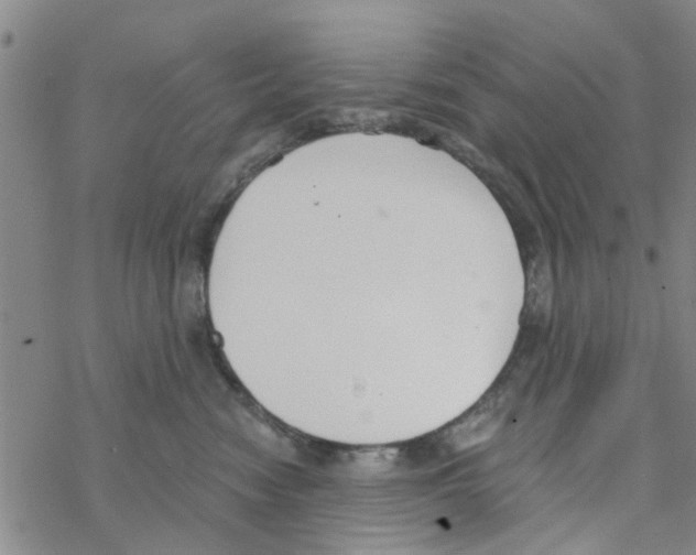 X0000068730474200605262030