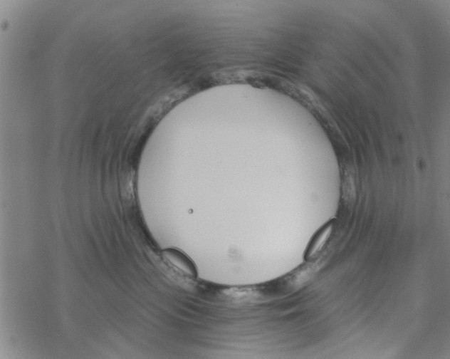 X0000068730477200605262030