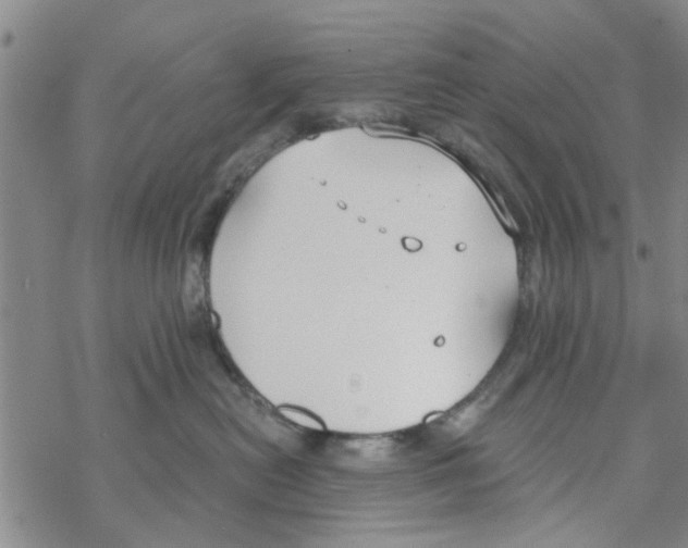 X0000068730478200605262030