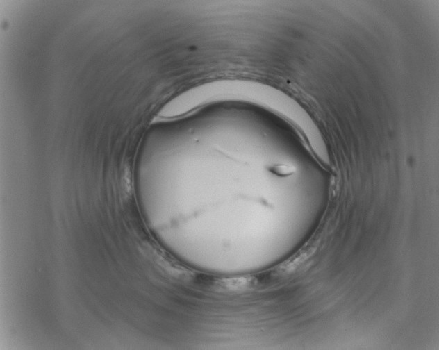 X0000068730479200605262030