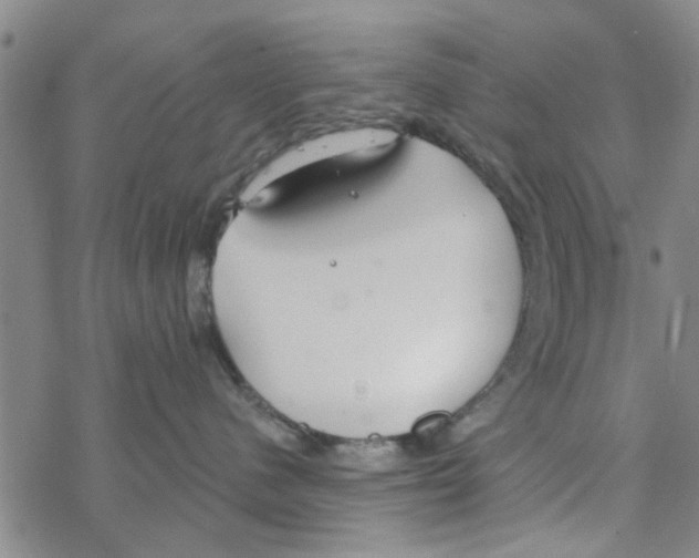 X0000068730480200605262030