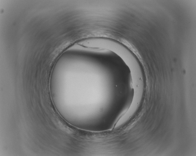 X0000068730481200605262029