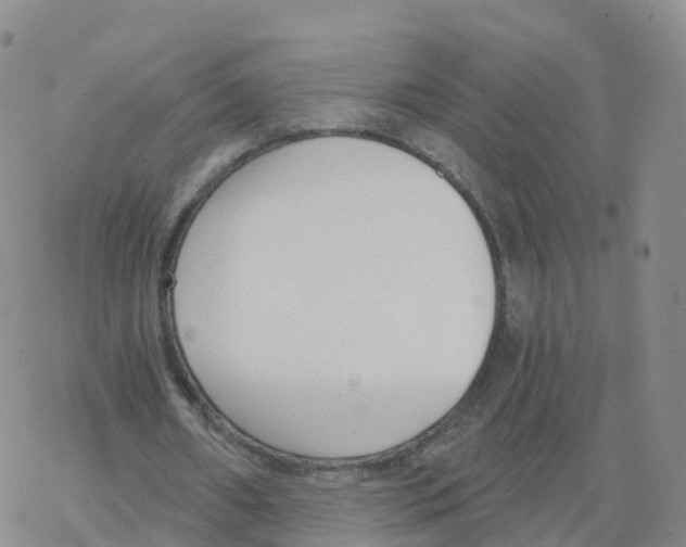 X0000068730482200605262029