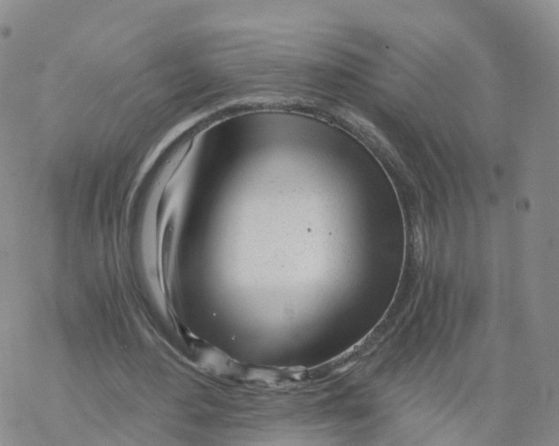 X0000068730484200605262029