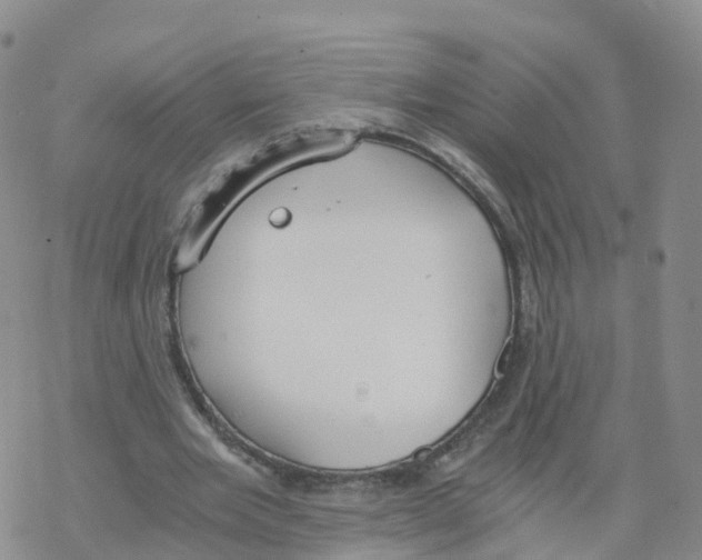 X0000068730485200605262029