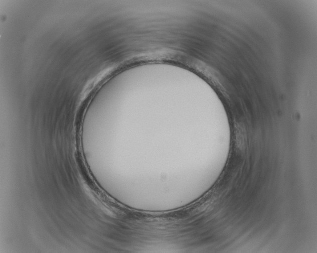 X0000068730486200605262029