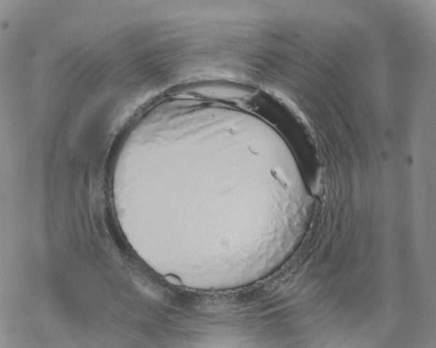 X0000068730487200605262029