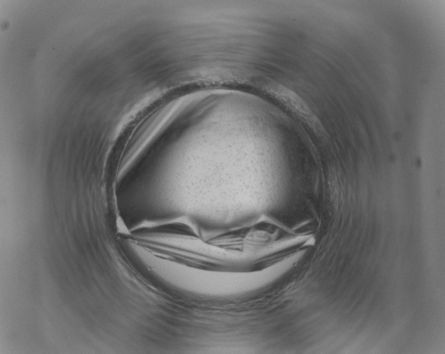 X0000068730488200605262029