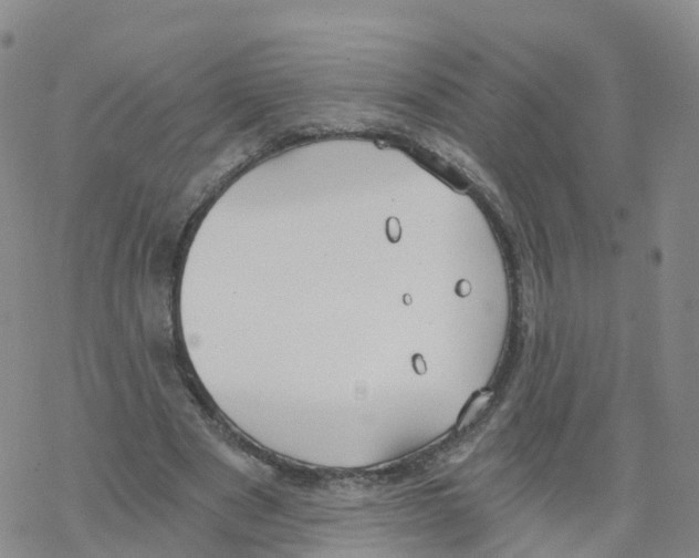 X0000068730489200605262029