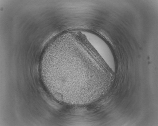 X0000068730491200605262029