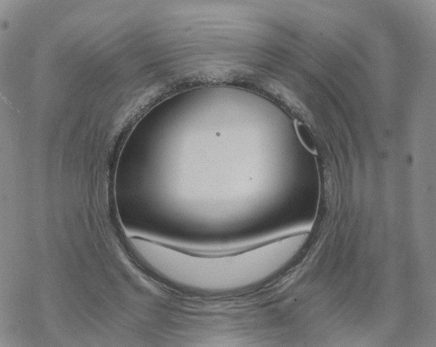 X0000068730493200605262029