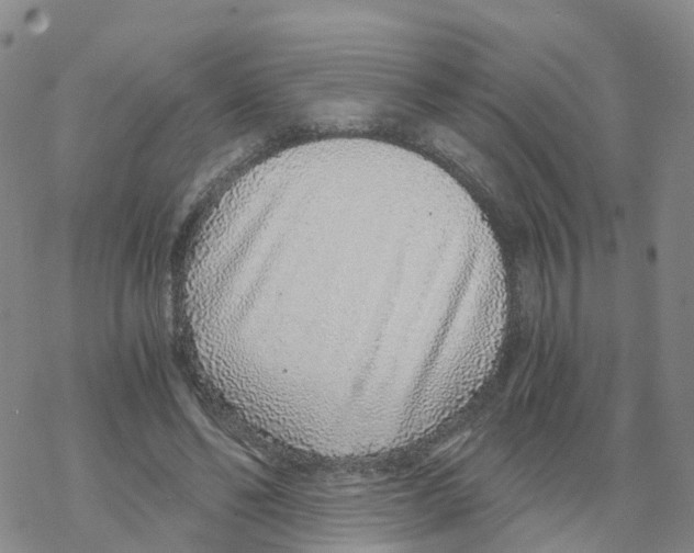 X0000068730494200605262029