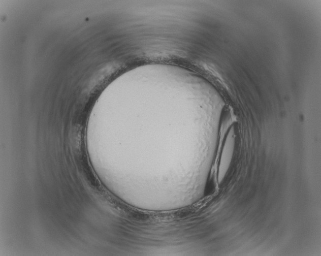 X0000068730495200605262029