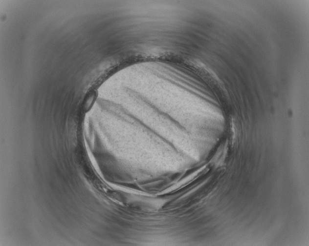 X0000068730496200605262029