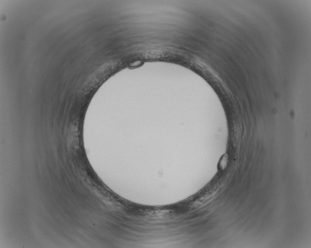 X0000068730497200605262029